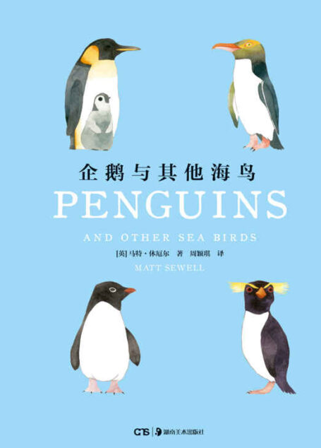 企鹅与其他海鸟 (世界上的鸟儿)