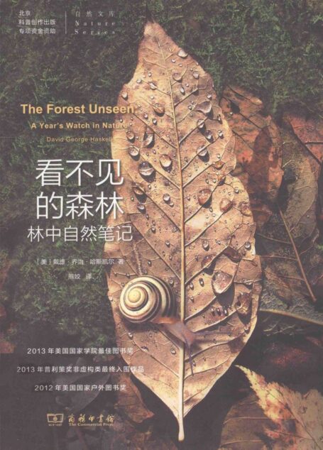 看不见的森林:林中自然笔记