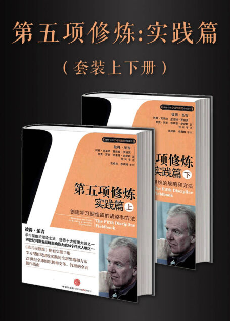 第五项修炼实践篇(套装上下册)