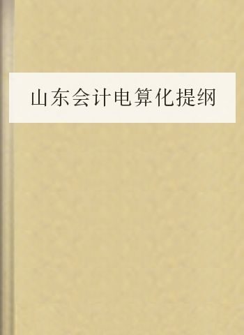 山东会计电算化提纲