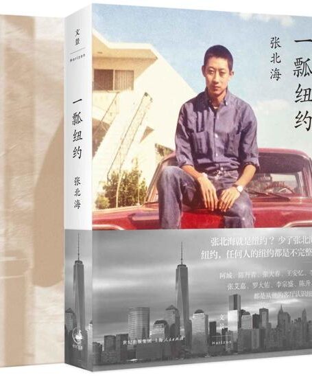 张北海作品系列(侠隐、一瓢纽约)