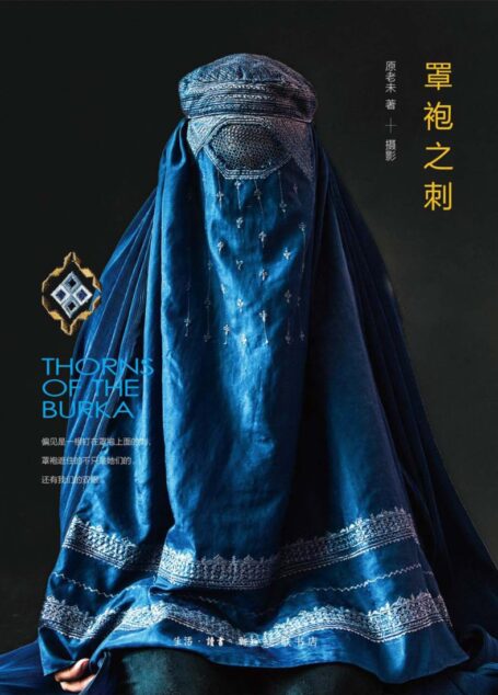 罩袍之刺(后半)