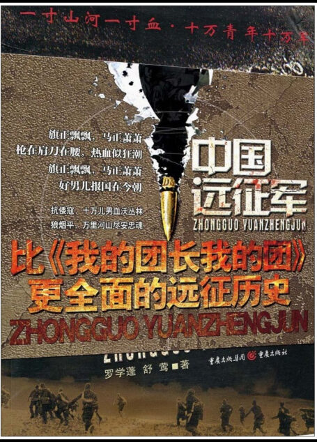 中国远征军(下)