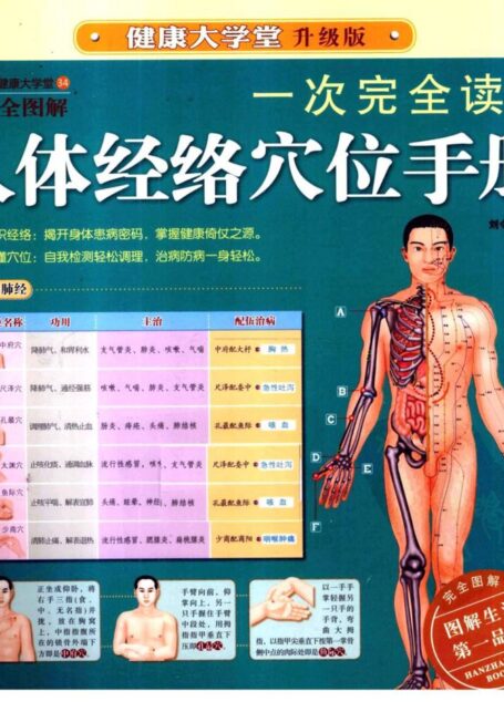 一次完全读懂人体经络穴位手册 升级版全图解