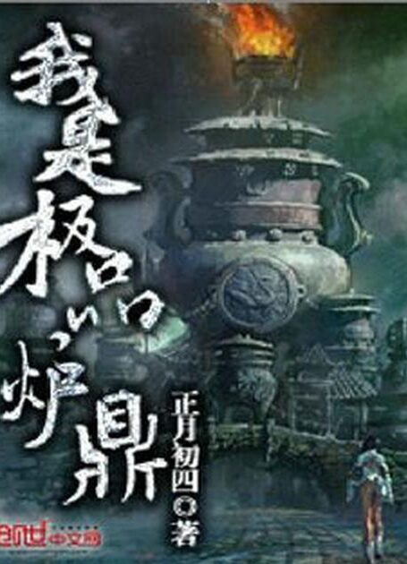 我是极品炉鼎