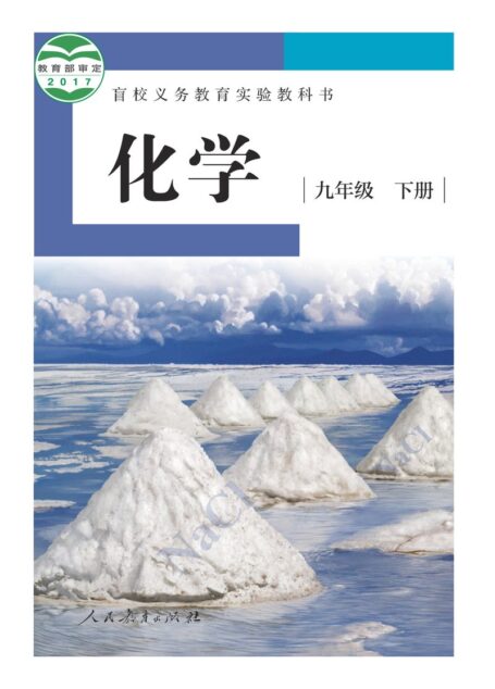 电子教材-特殊教育-盲校-初中-化学-九年级-盲校义务教育实验教科书 化学 九年级 下册(供低视力学生使用)