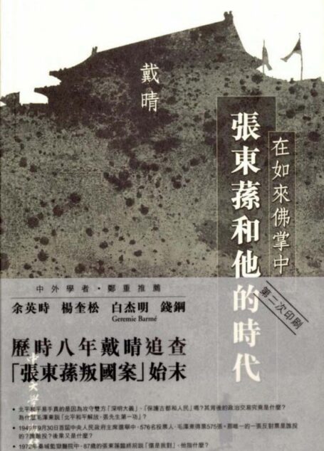 在如来佛掌中—张东荪和他的时代