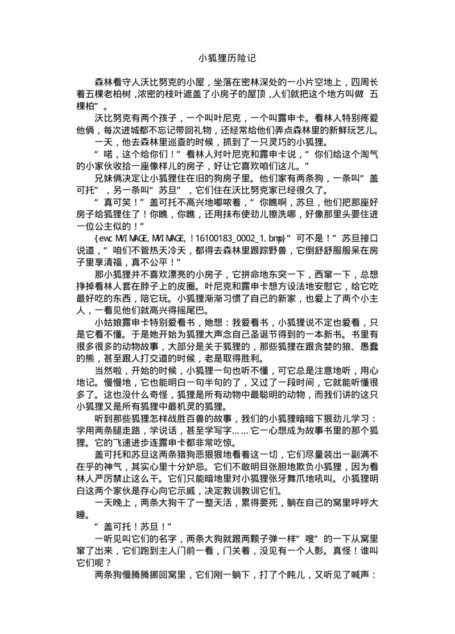 小狐狸历险记