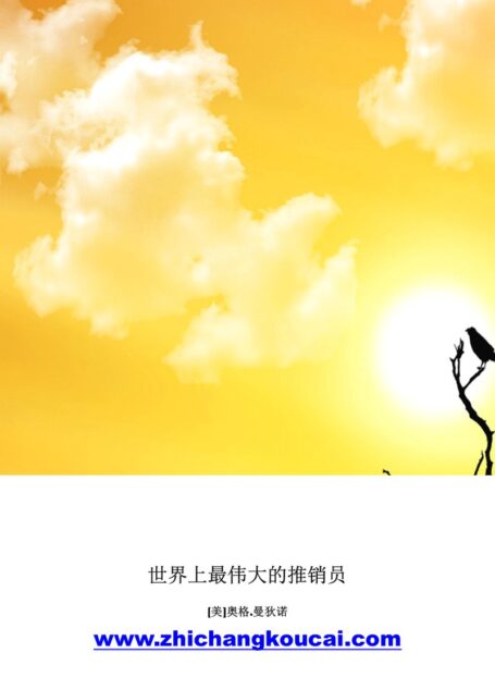 世界上最伟大的推销员