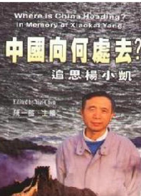 杨小凯文集