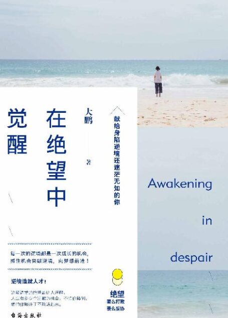 在绝望中觉醒 (挑战or舒适圈,打败or妥协?本书献给身陷逆境还迷茫无知的你!指引你摆脱困境,跳出舒适圈!)