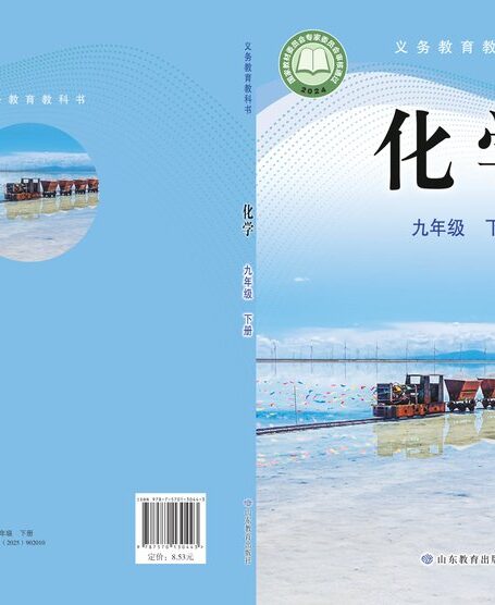 电子教材-初中-化学-鲁教版-九年级-(根据2022年版课程标准修订)义务教育教科书·化学九年级下册