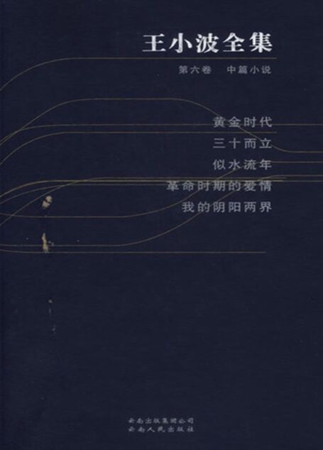 王小波全集.第六卷.中篇小说