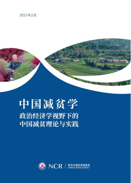中国减贫学：政治经济学视野下的中国减贫理伦与实践