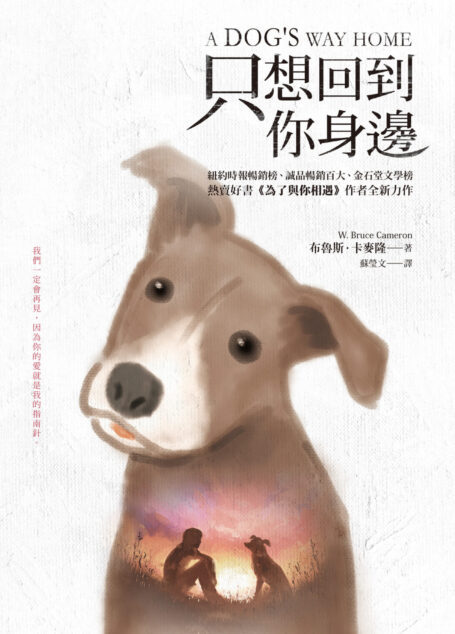 只想回到你身邊