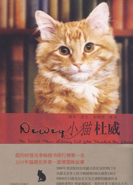 小猫杜威