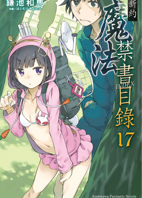 新约 魔法禁书目录 17