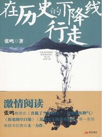 在历史的下降线行走(全本)