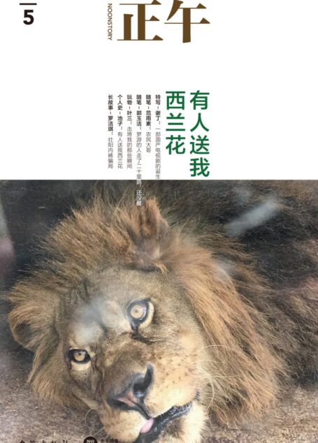 正午.5,有人送我西兰花