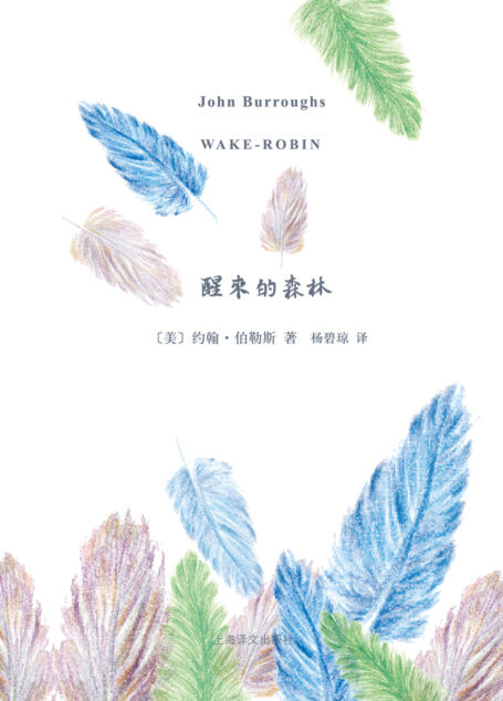 醒来的森林(山杯书系)
