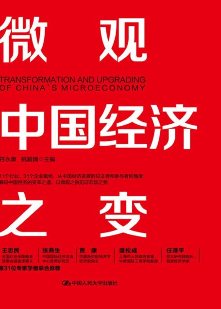 微观中国经济之变