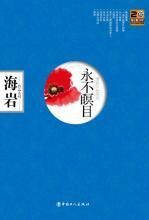 永不瞑目(海岩作品)