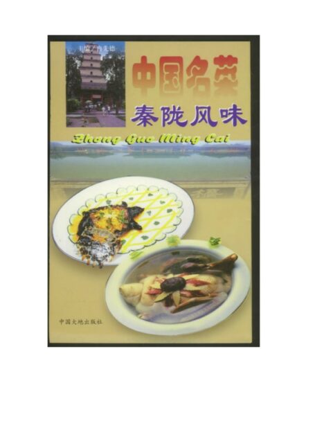 中国名菜秦陇风味