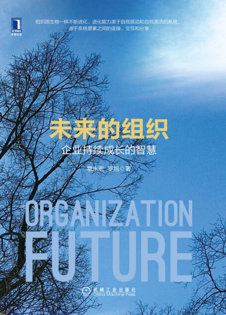 未来的组织：企业持续成长的智慧