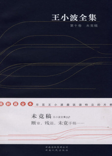 王小波全集.第十卷.未竟稿