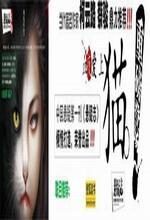 血夜爱上猫