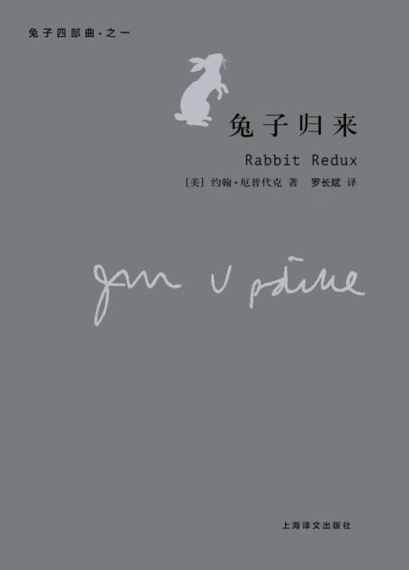 兔子,归来