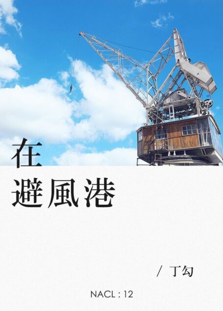 在避风港:知乎丁勾自选集 (知乎「盐」系列)