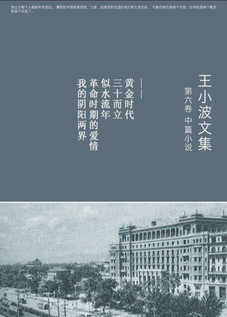 王小波文集.第六卷