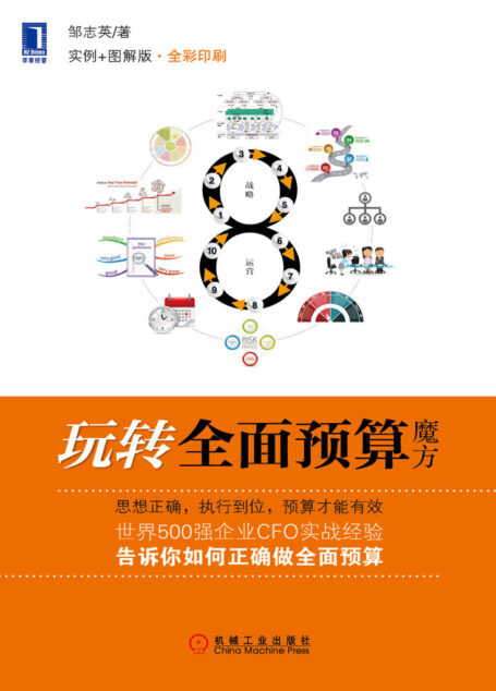 玩转全面预算魔方（实例+图解版）