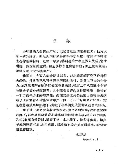 土法繁育小球藻