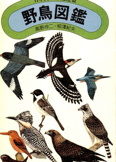 野鳥図鑑