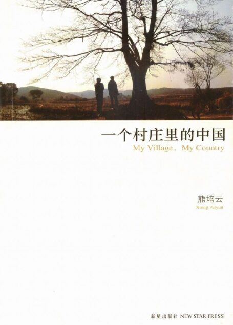 一个村庄里的中国