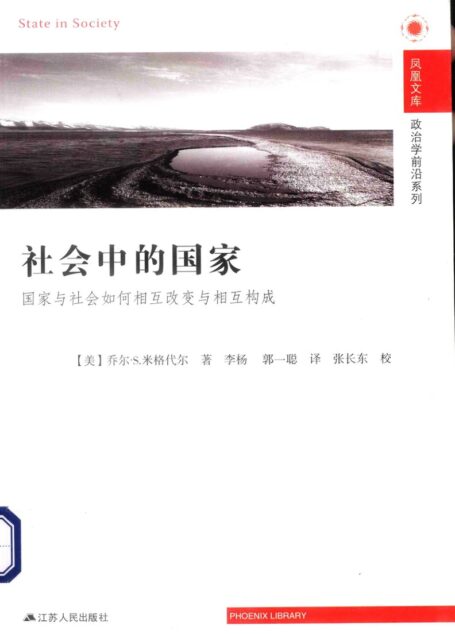 社会中的国家