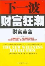 下一波财富狂潮:财富革命
