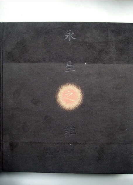 中国墓室壁画史 永生之维