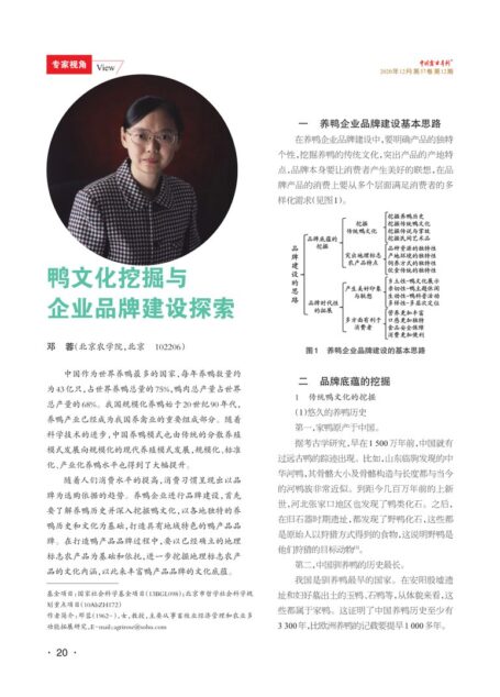 鸭文化挖掘与企业品牌建设探索