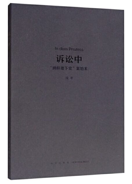 诉讼中