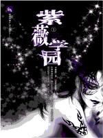 紫薇学园Ⅰ:现代校园中的紫薇斗数