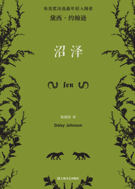 沼泽【布克奖短名单最年轻入围者、与萨莉·鲁尼同样“炸裂”的天才少女黛西·约翰逊,集疯狂、凶狠、异色之大作!】