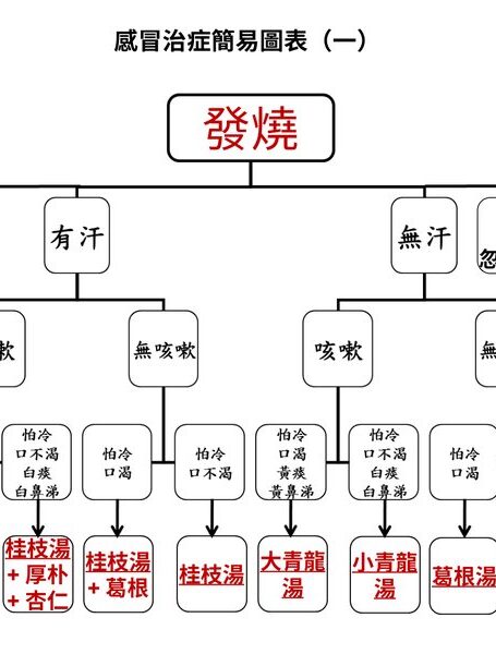 張醫師之再修訂版感冒治症簡易圖表