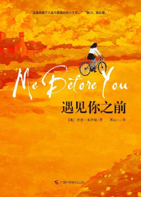 遇见你之前（连续“霸榜”英美主流图书排行榜多年，“龙妈”艾米莉亚·克拉克主演同名电影）