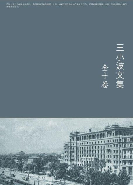 王小波文集(全十卷)