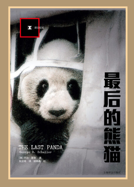 最后的熊猫