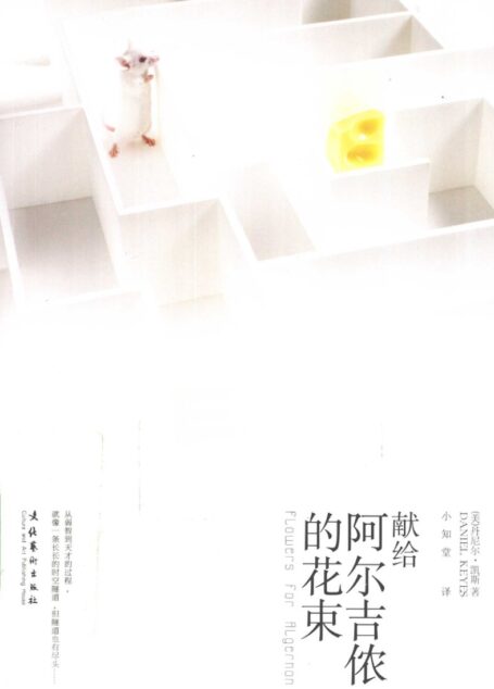 献给阿尔吉侬的花束