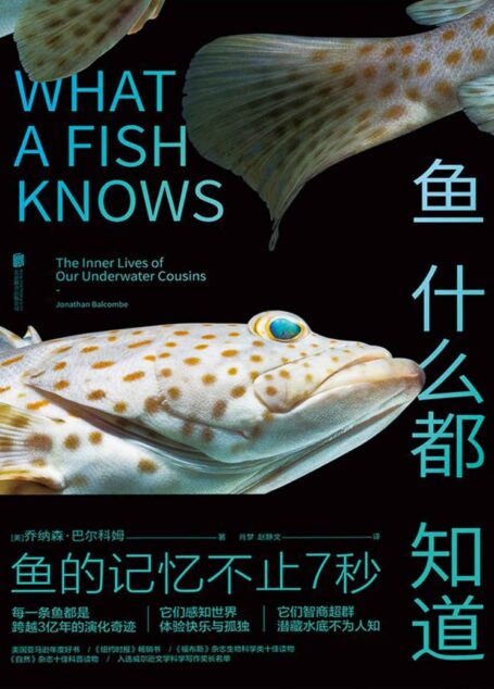 鱼什么都知道 (未读·探索家)